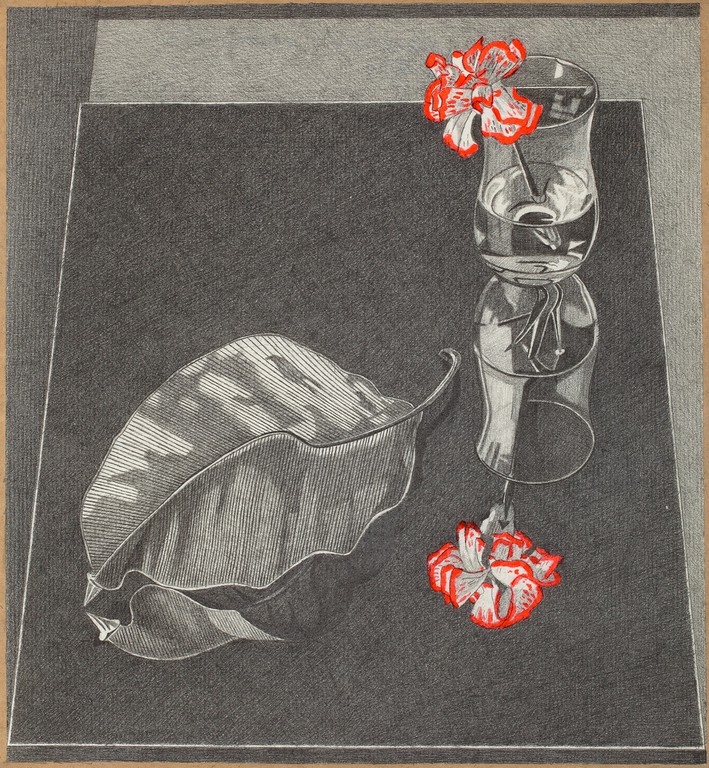 Červený karafiát a uschlý list fikusu na černém zrcadle