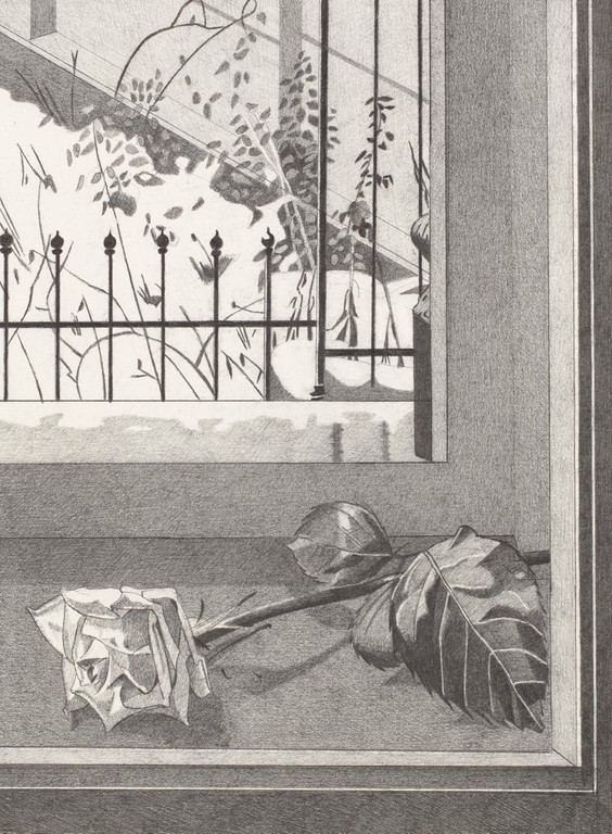Růže na okně (pohled do zasněžené zahrady)
