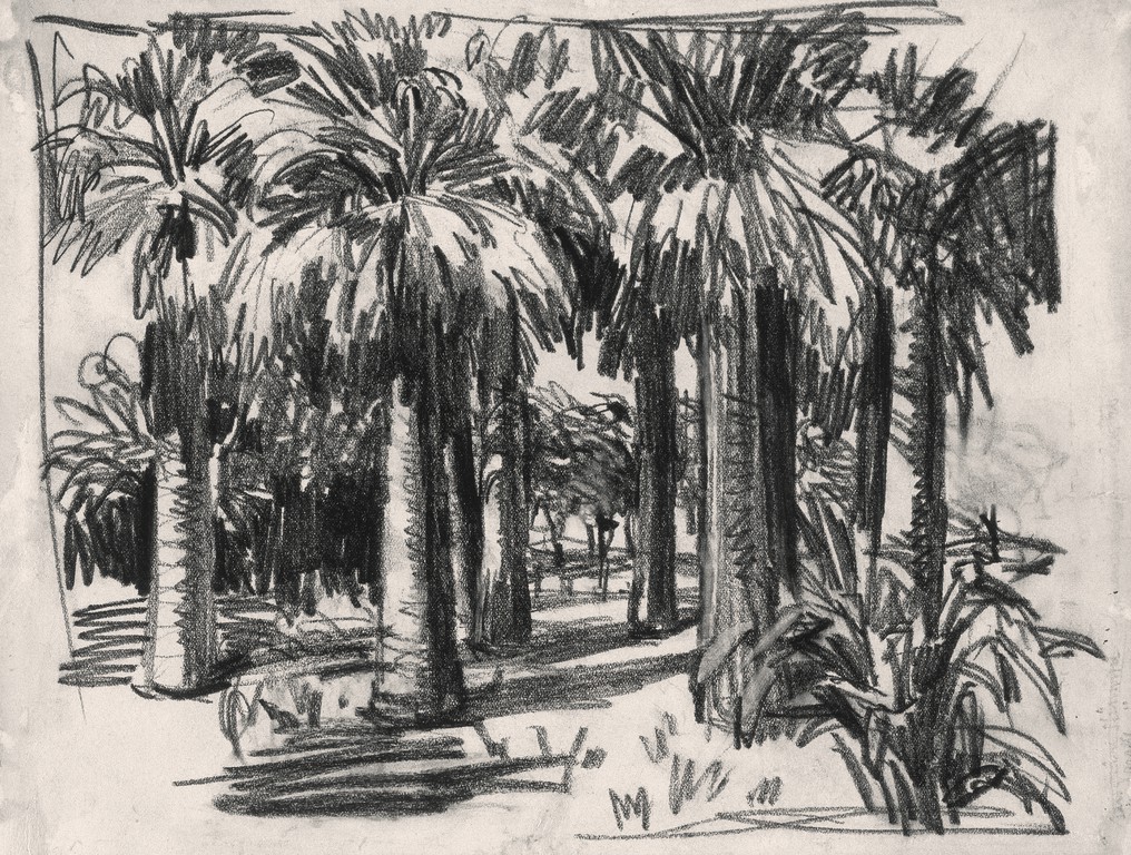 Palms in Palatinum