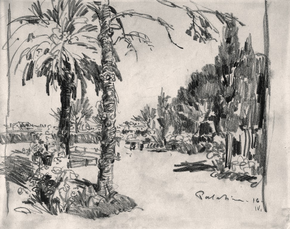Palm Trees (Palatinum)