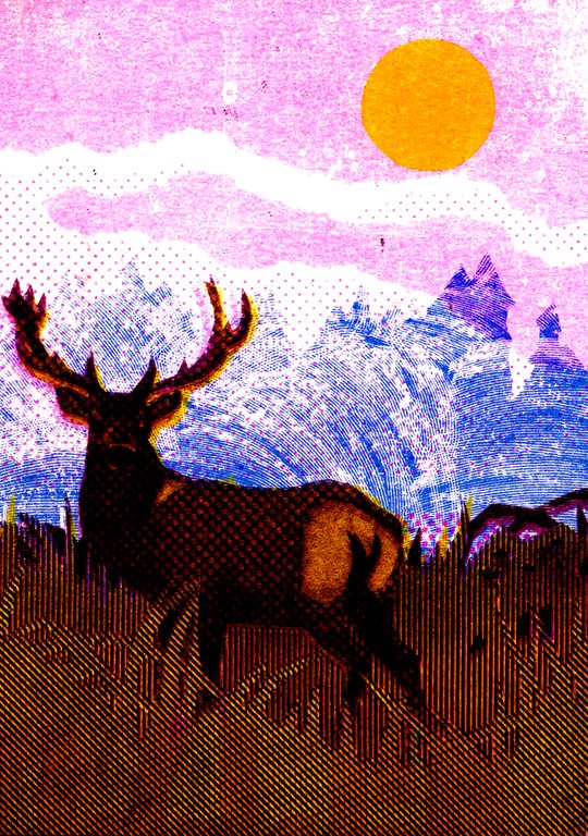 Wilderness "Deer"