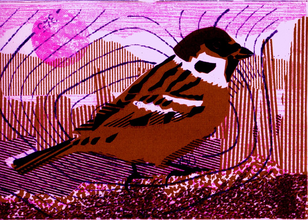 Birds "Sparrow"
