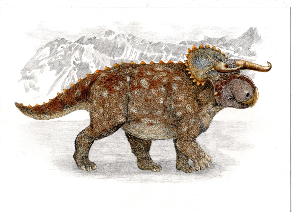 Vladimir Socha Dinosaurs "Nasutoceratops titusi"