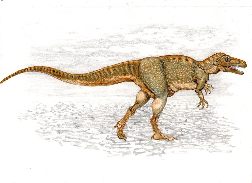 Vladimir Socha Dinosaurs "Megalosaurus bucklandii"
