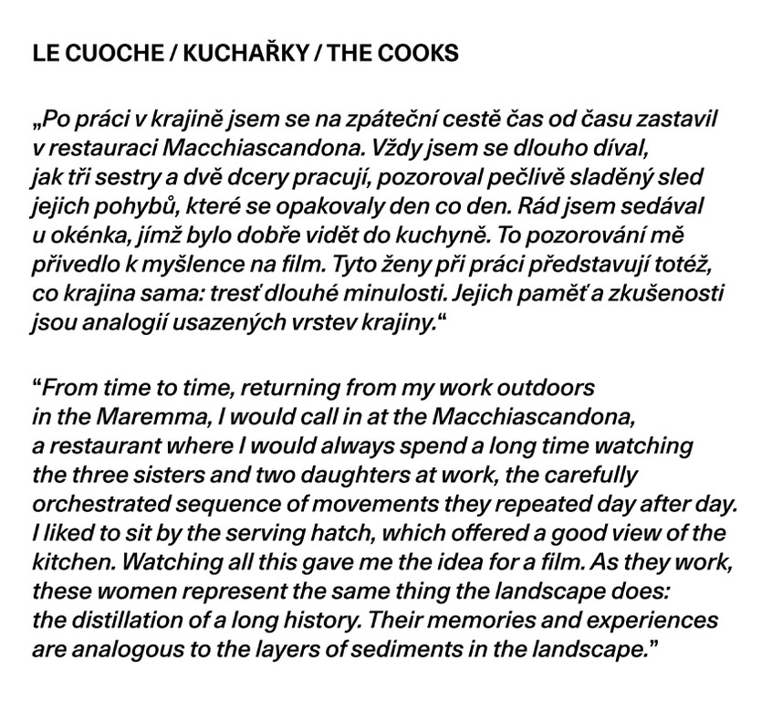 Le Cuoche/ Kuchařky/ The Cooks
